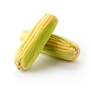 玉米品类